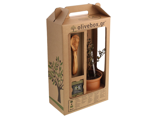 Project big olive box 03